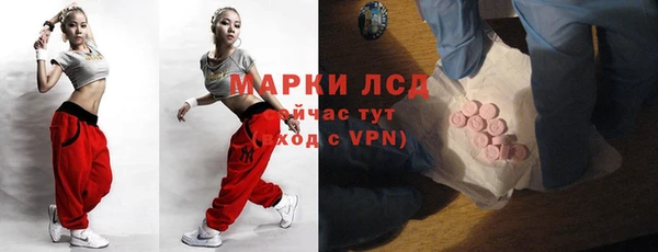 СК Алексин