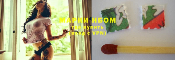 СК Алексин