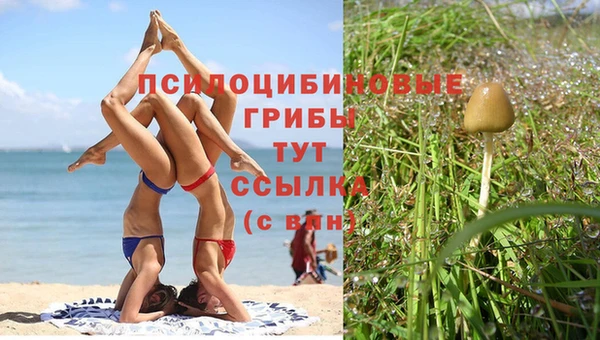 спиды Сатка