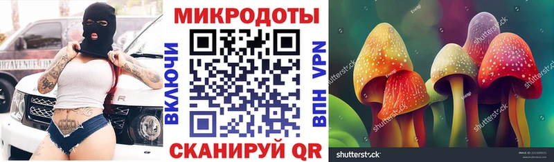Псилоцибиновые грибы прущие грибы  Жуков 